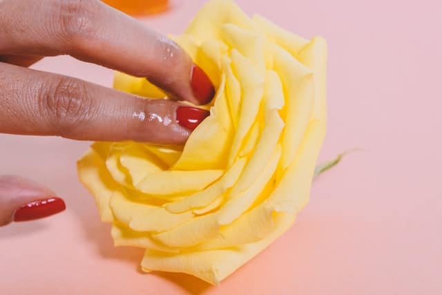 image of fingers inside a flower representing yoni massage
