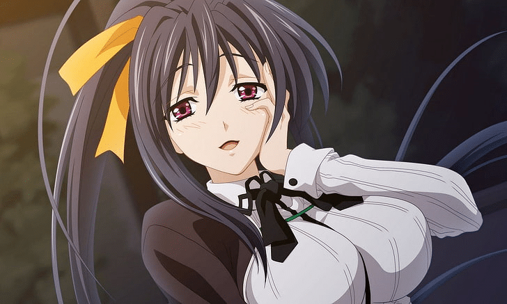 Anime Rias Gremory High School DxD Manga Character PNG, Clipart, Animation,  Anime, Artwork, Black Hair, Blend