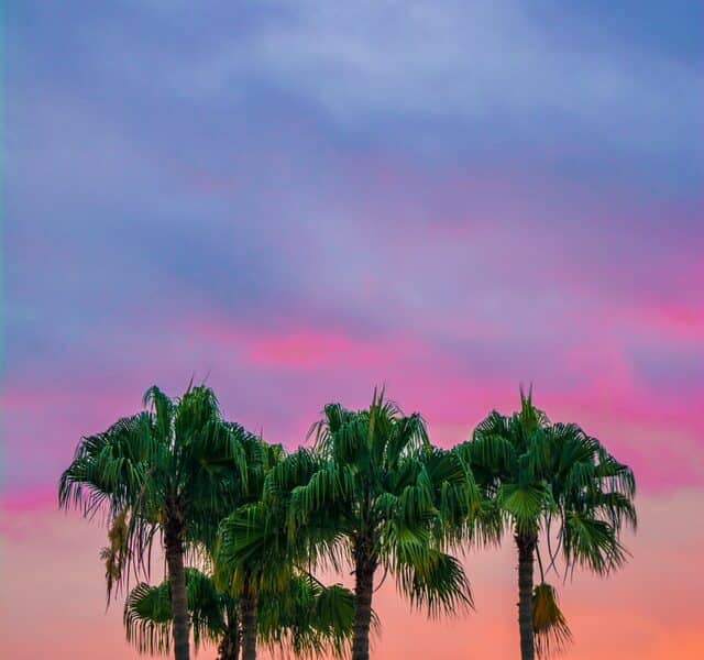 gay miami