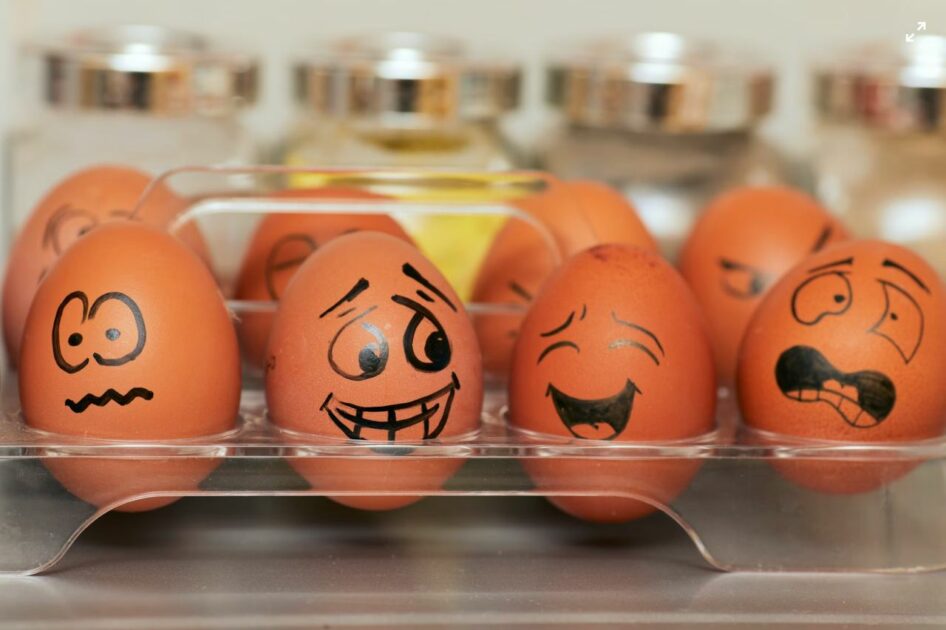 emotional intelligence image of eggs 