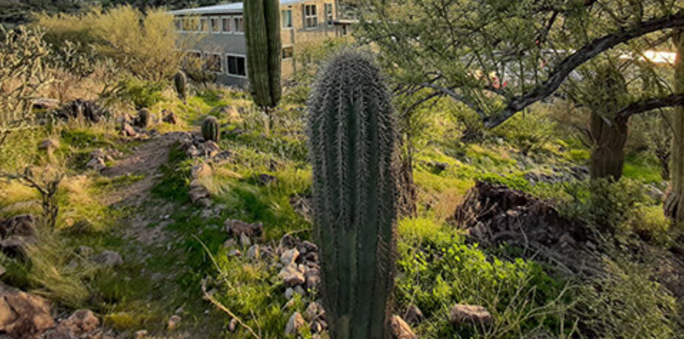Copper Cactus Ranch in Arizona