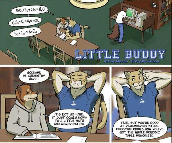 24 Best Gay Furry Comics Of All Time Gay Friendly 