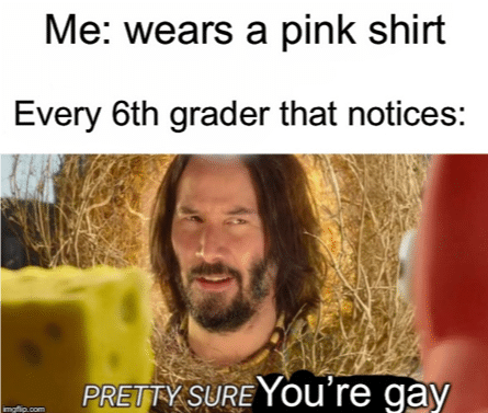  13. Pink is Gay