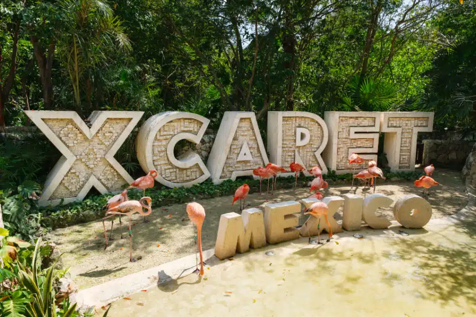 Xcaret Park Gay Playa Del Carmen Guide