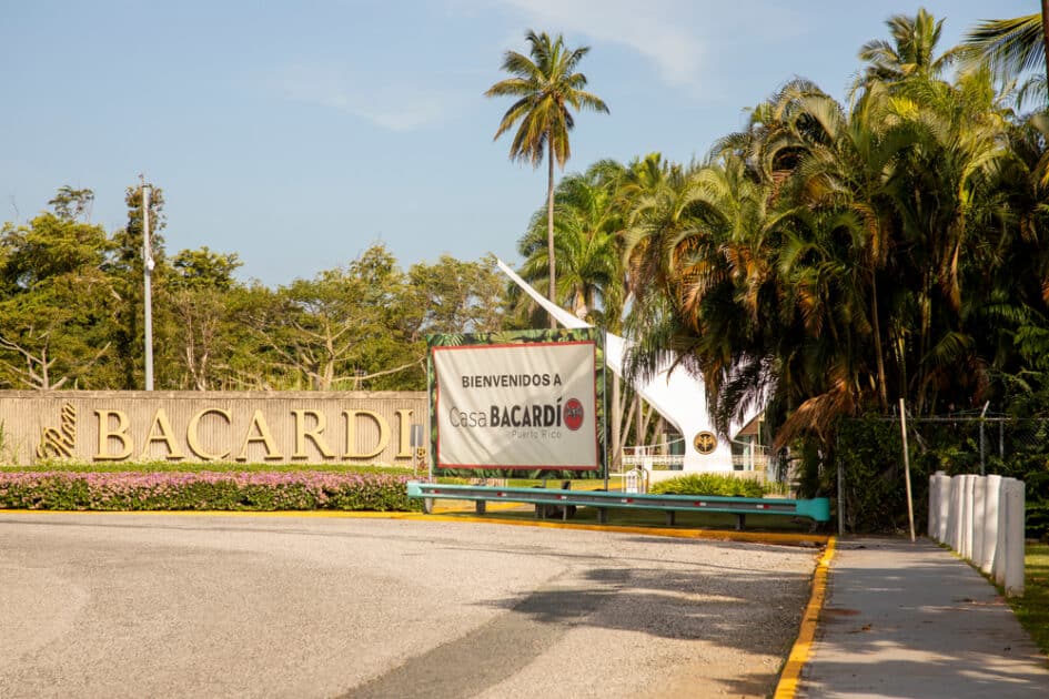 Bacardi Distillery Trip Gay Puerto Rico Guide