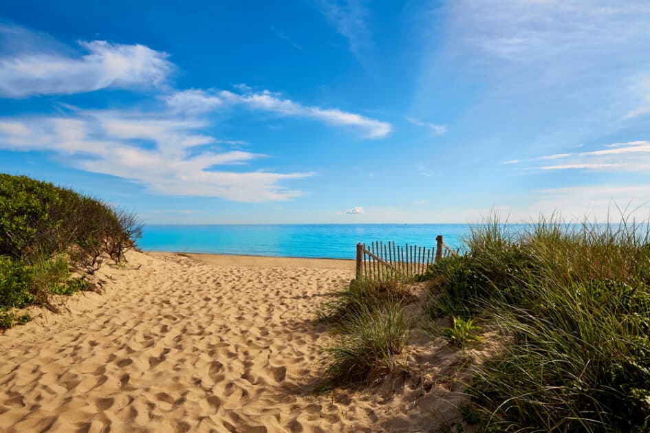 Herring Cove Beach Gay Provincetown Guide