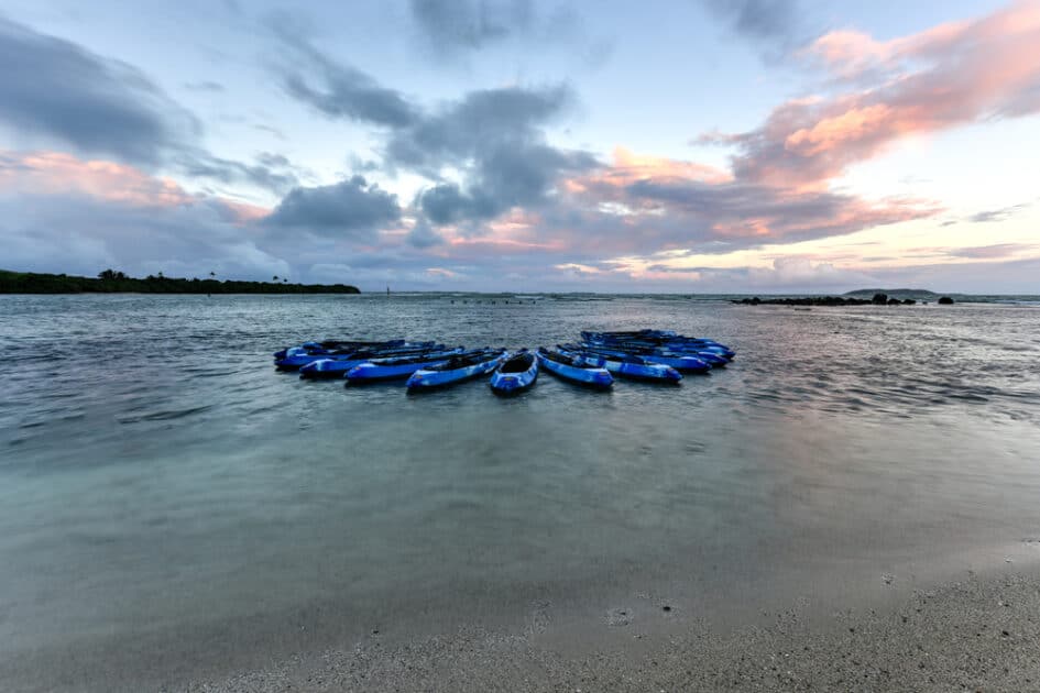 Bio Bay Kayak Tour Gay Puerto Rico Guide