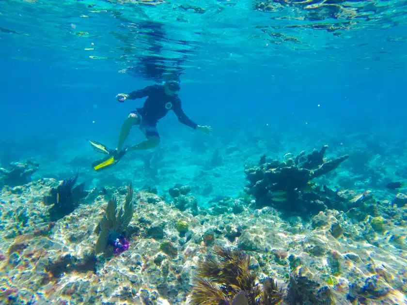 Florida Keys Afternoon Reef Snorkel and Sail Adventure Gay Key West Guide