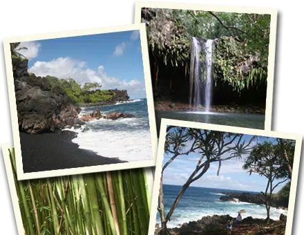 Road to Hana gay maui guide