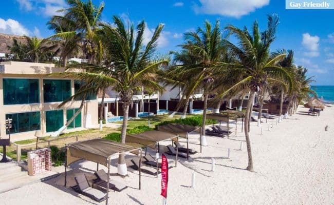 Gay Playa Del Carmen, Le Reve by MIJ Beachfront – Beachfront Hotel