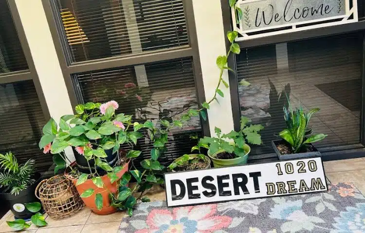 Desert Dream Massage